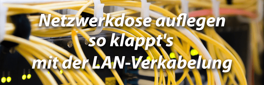 Netzwerkdose auflegen so klappts mit der LAN-Verkabelung - IT-Glossary