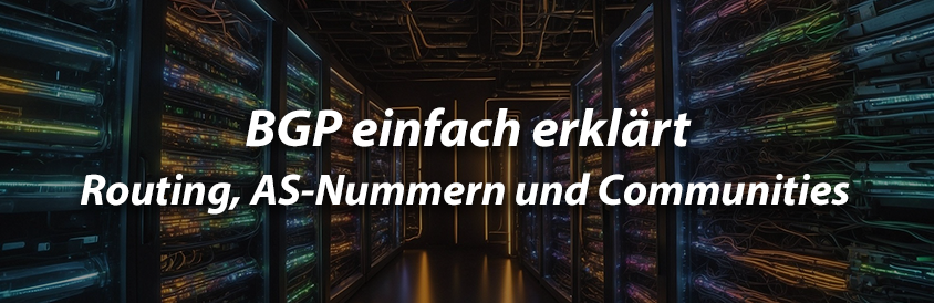 BGP einfach erklärt - Routing, AS-Nummern und Communities - IT-Glossary