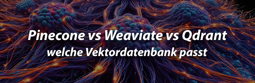 Pinecone vs Weaviate vs Qdrant - welche Vektordatenbank passt - IT-Glossary