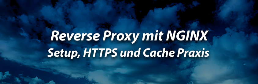 Reverse Proxy mit NGINX - Setup, HTTPS und Cache Praxis - IT-Glossary